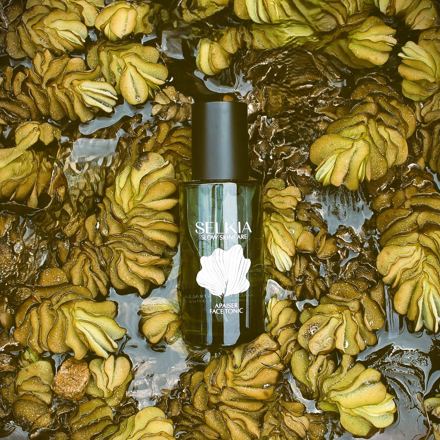 refillable skincare